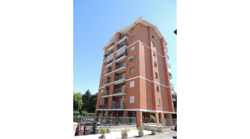 ALP56001.jpg